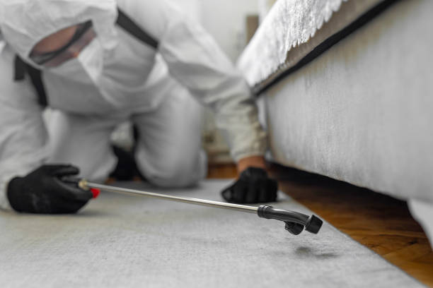 Professional Bed Bug Control technician working in Princeton, IN