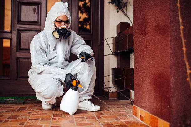 Reliable Bed Bug Control contractor in Princeton, IN by Nex Pest Control